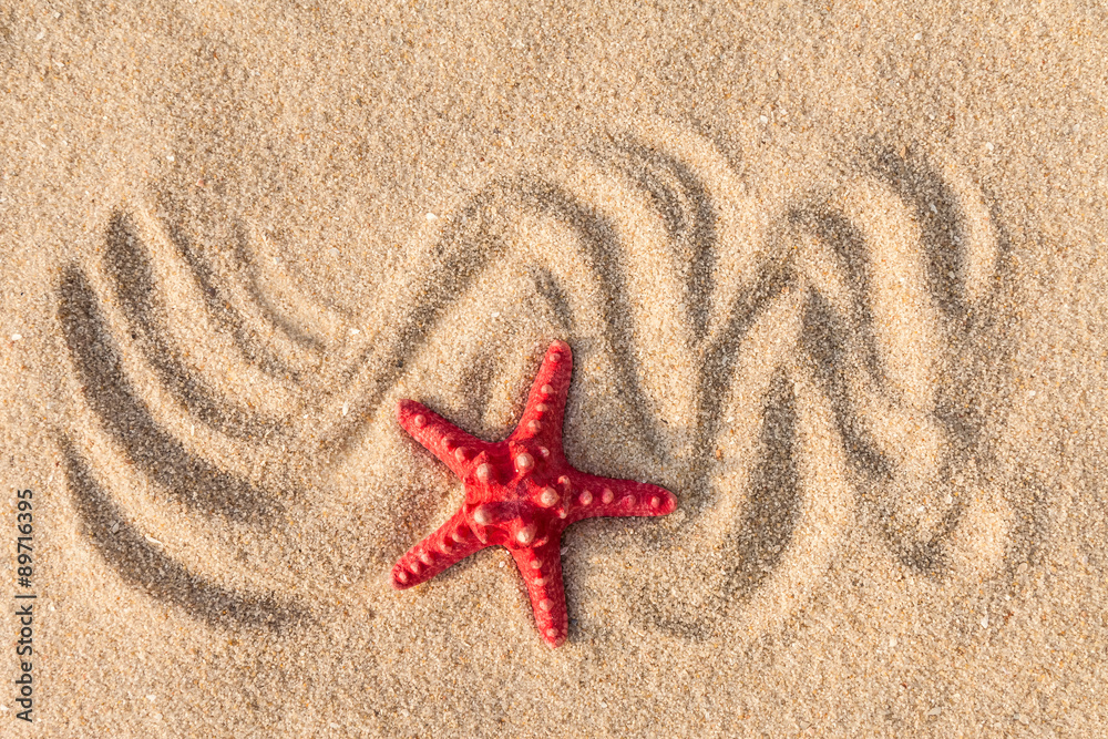 Starfish with sand as background Starfish with sand as background