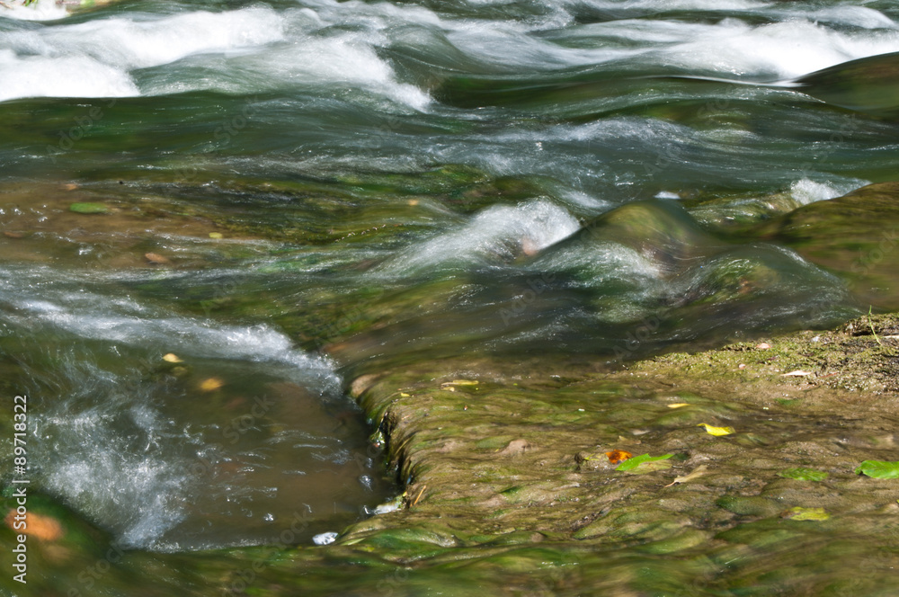 Fototapeta premium torrent