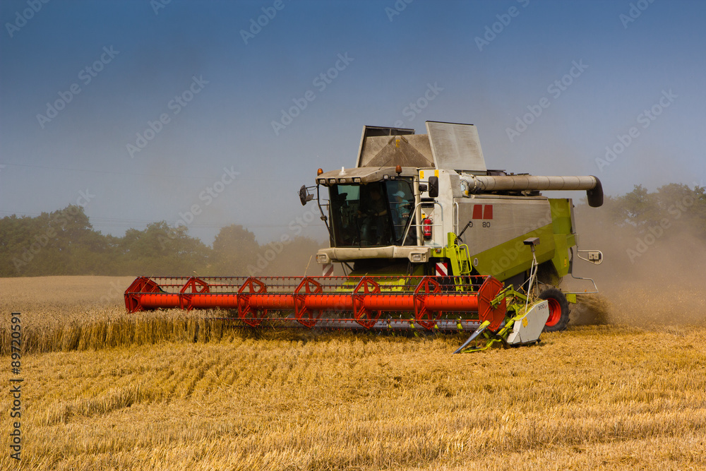 Fototapeta premium Mähdrescher bei Weizenernte