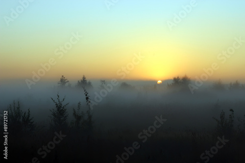Summer landscape foggy morning at dawn