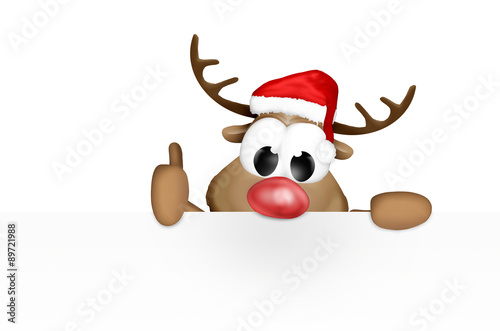 Christmas Reindeer