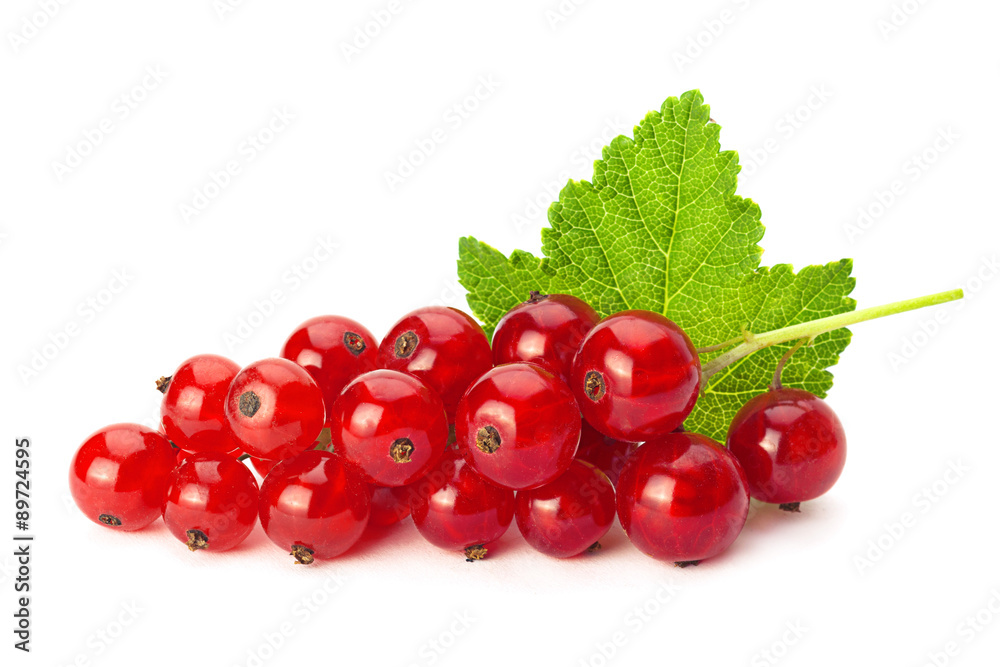 Red currant with leaf Red currant with leaf