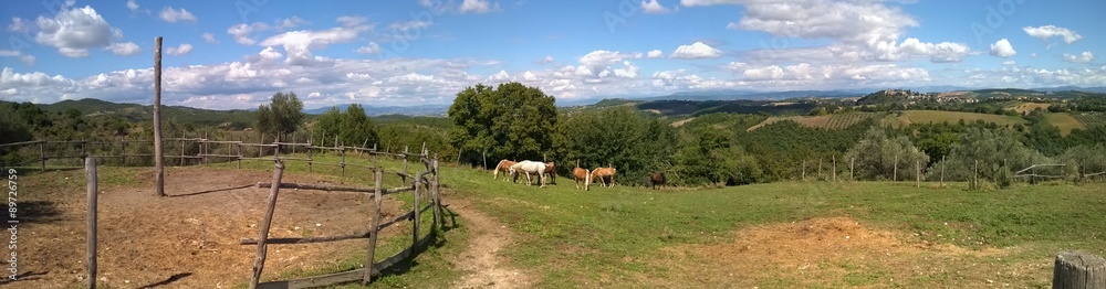 Panorama 1 Panorama 1