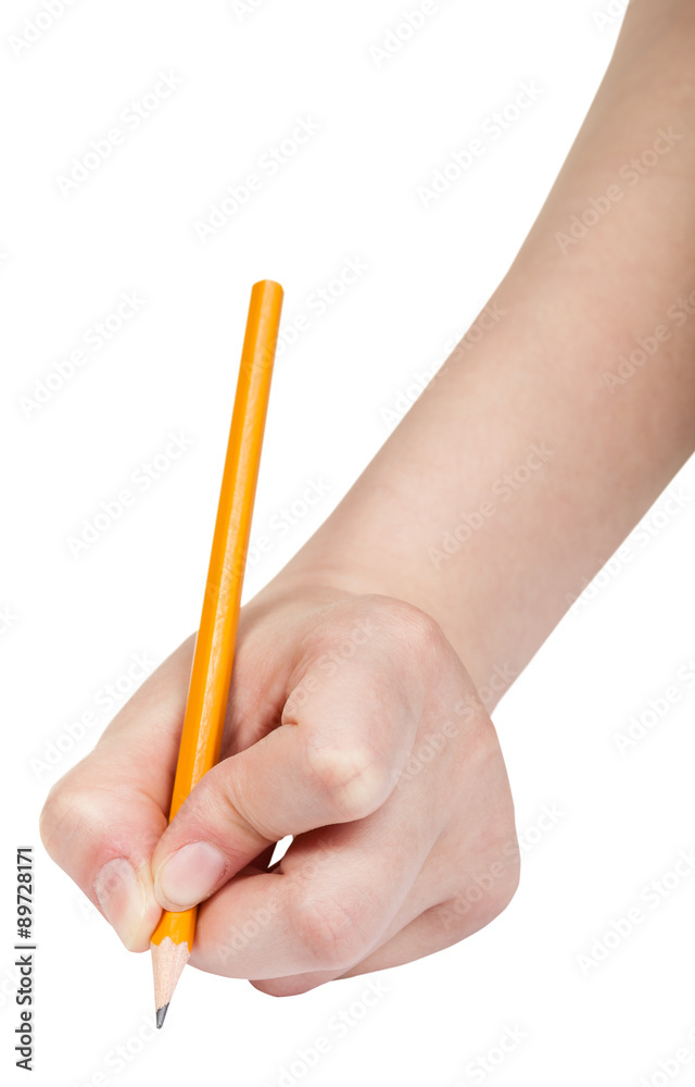 hand draws by simple pencil isolated on white