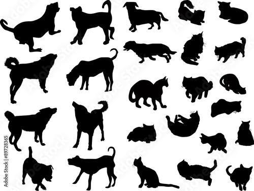 set of ten dogs and fifteen cats isolated on white