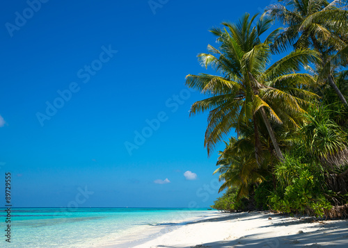 beautiful beach and tropical sea