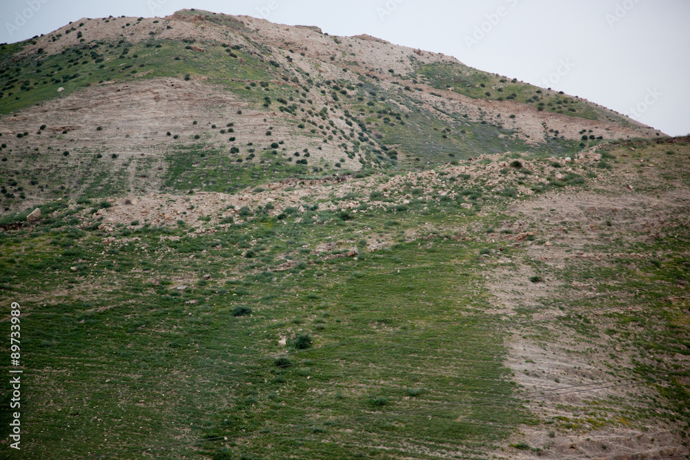 Middle East landscape