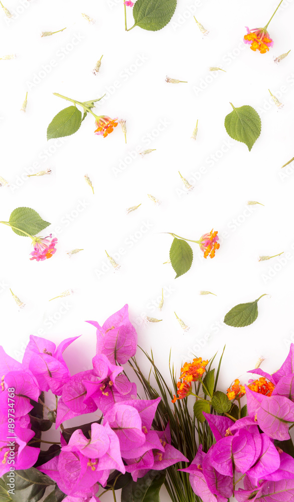 Fototapeta premium Flower background 