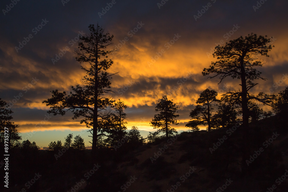 Clouds at sunset over a forest