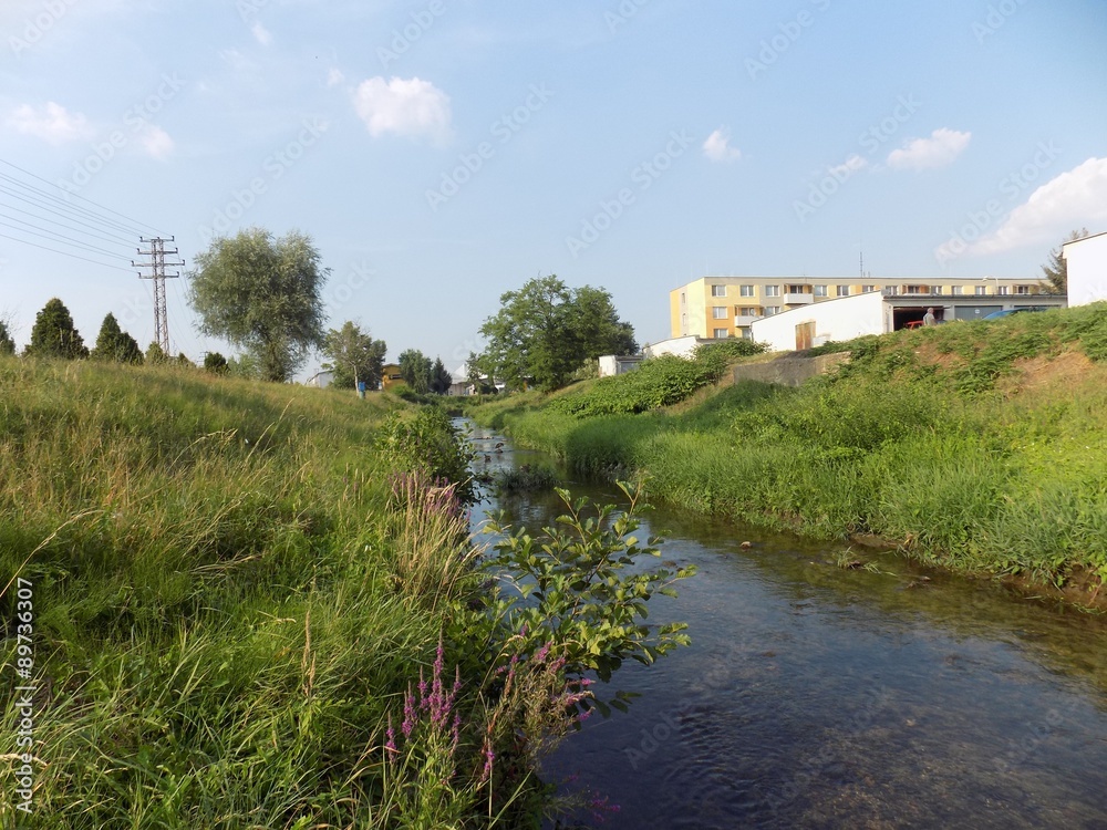 Creek and meadow in city edge