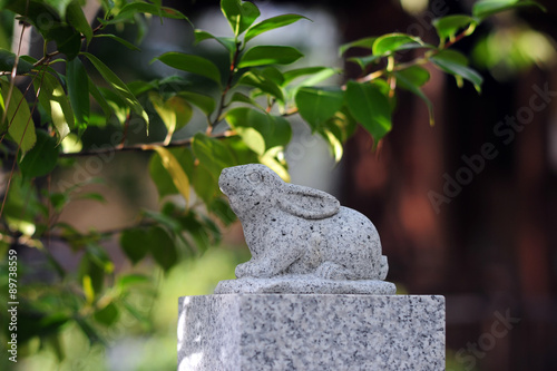 Shirine Toyosaki-jinja-Usagi photo