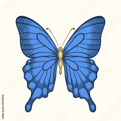 beautiful butterfly in pastel colors in graphic style