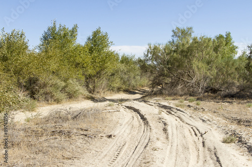 Road in the desert