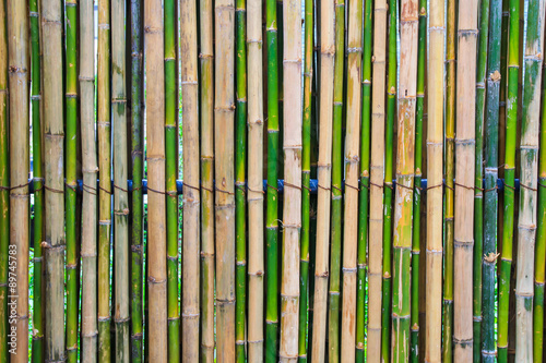 Bamboo Fence Background.