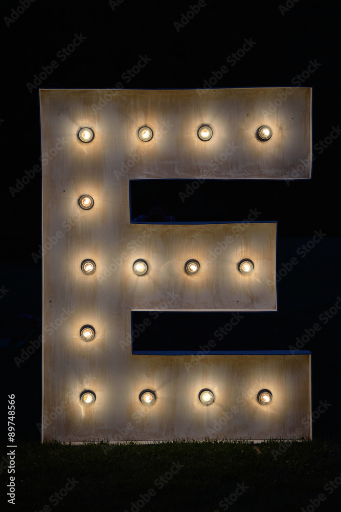 Obraz premium Letter E