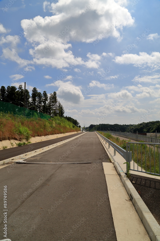Obraz premium 空に続くまっすぐな道。