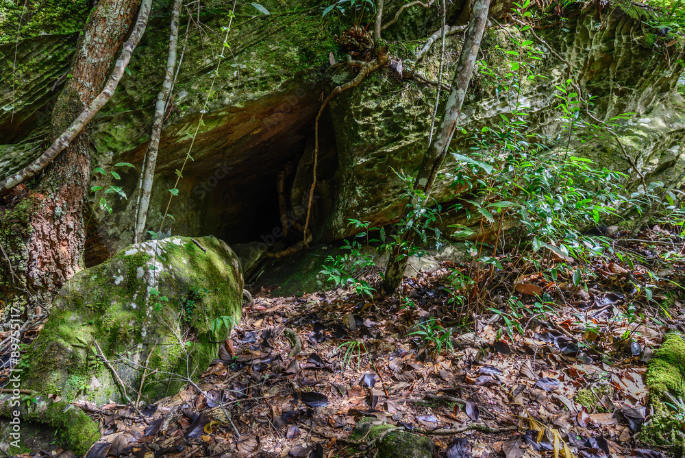 Moss covered of cave in rainforest. Moss covered of cave in rainforest.