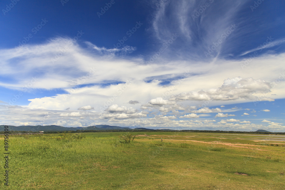  Countryside landscape