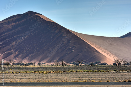 Namib Desert  Namibia