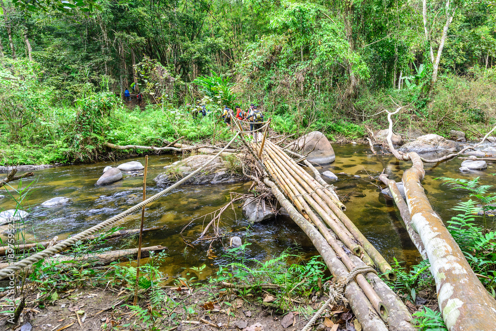 Fototapeta premium Bamboo bridge over rill in national park forest.