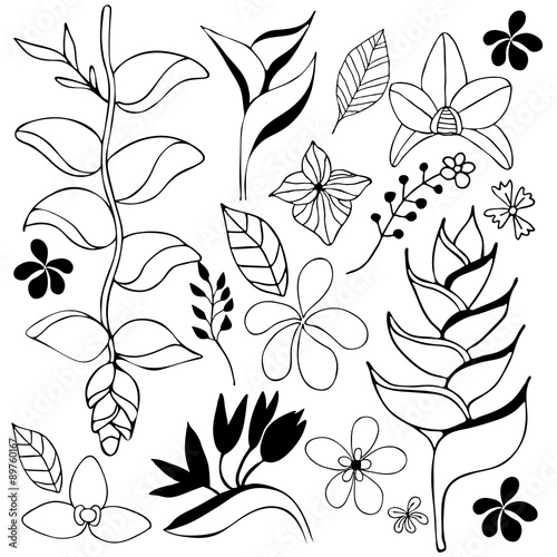 Tropical flower hand drawn sketch