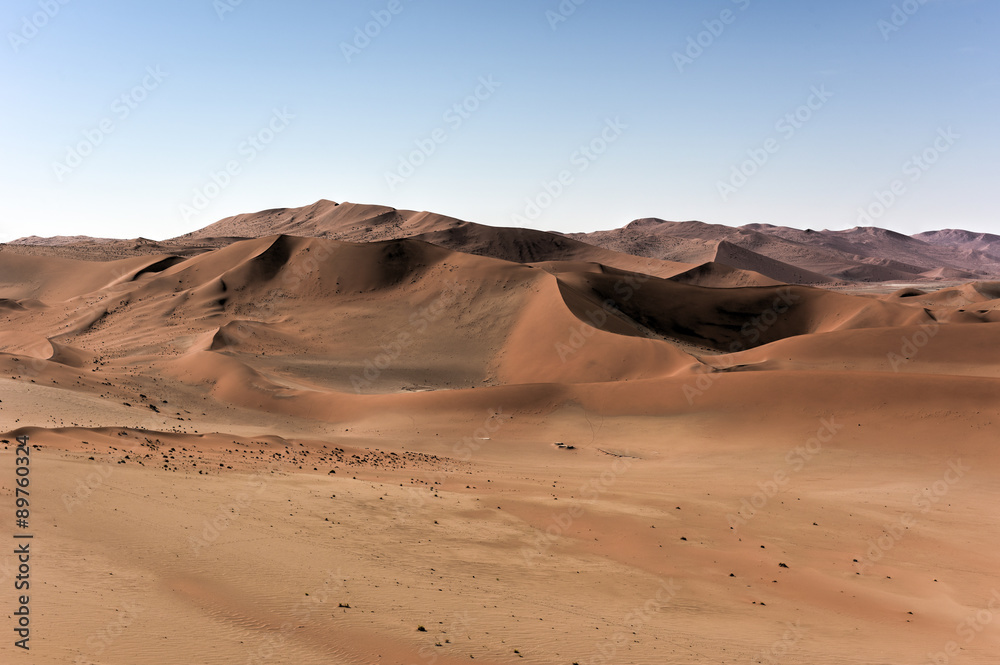 Naklejka premium Sossusvlei, Namibia