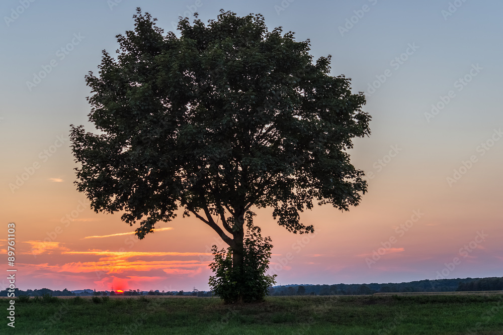 Obraz premium Spätsommerlicher Sonnenuntergang 