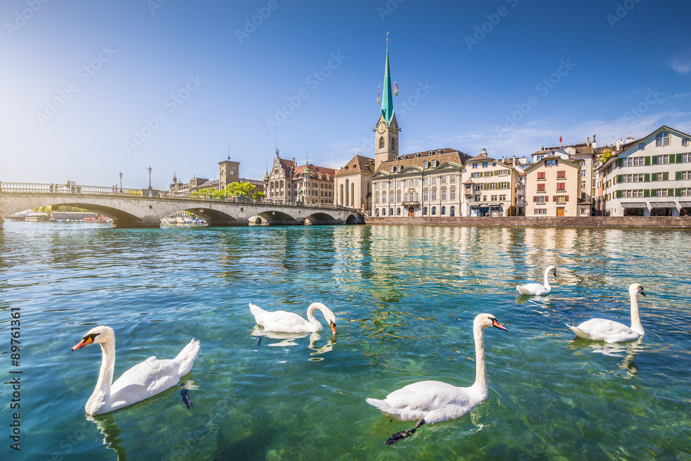 Historic city center of Zürich with Fraumünster Church and swans on river Limmat, Canton of Zürich, Switzerland