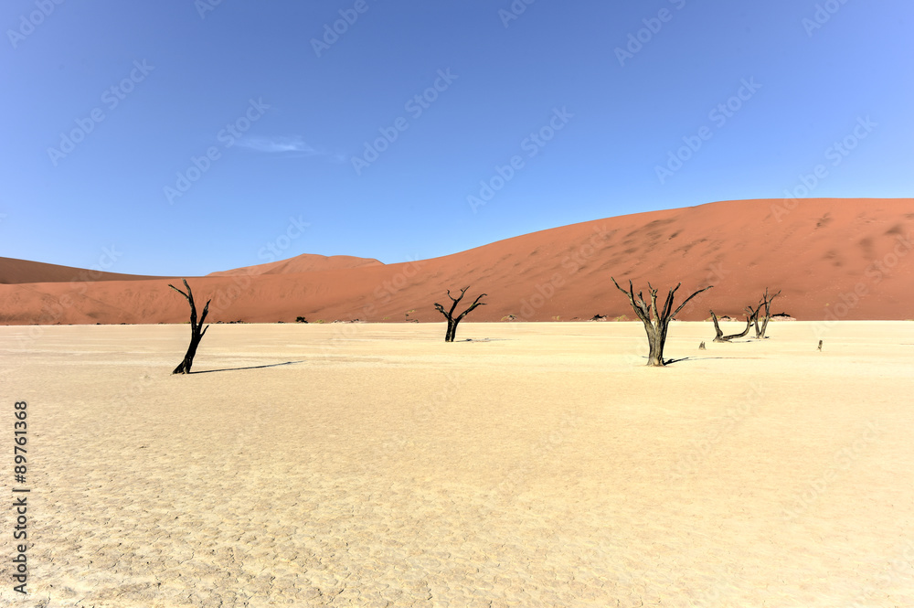 Dead Vlei, Namibia