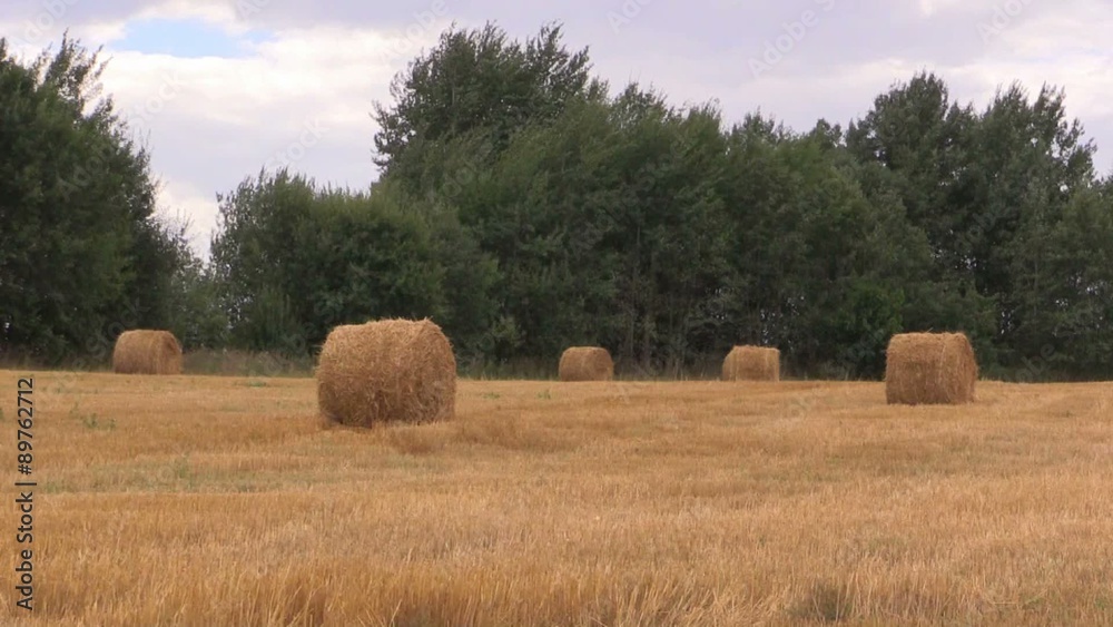 landscape with harvested bales of straw landscape with harvested bales of straw