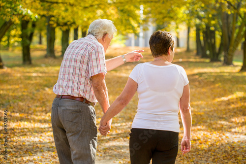 Elderly marriage strolling in park
