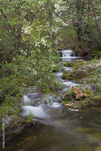 Arroyo de la Ventana, La Pedriza, Madrid