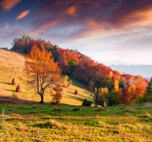 Colorful autumn landscape in the Carpathian mountains.