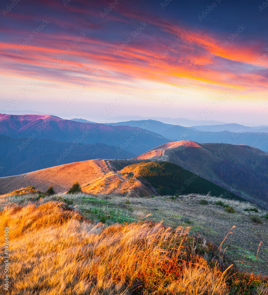 Fototapeta premium Colorfull autumn morning in the Carpathian mountains