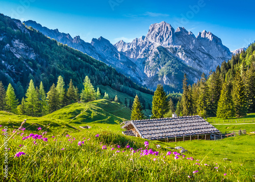 Idyllic landscape in the Alps with traditional mountain lodge at sunset photo