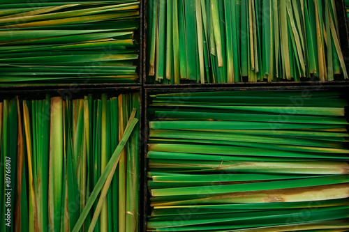 Lemon grass in boxes