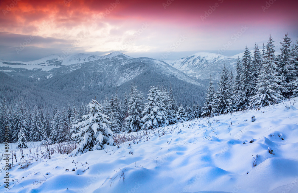 Beautiful winter sunrise in the Carpathian mountains.