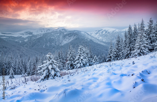 Beautiful winter sunrise in the Carpathian mountains. © Andrew Mayovskyy