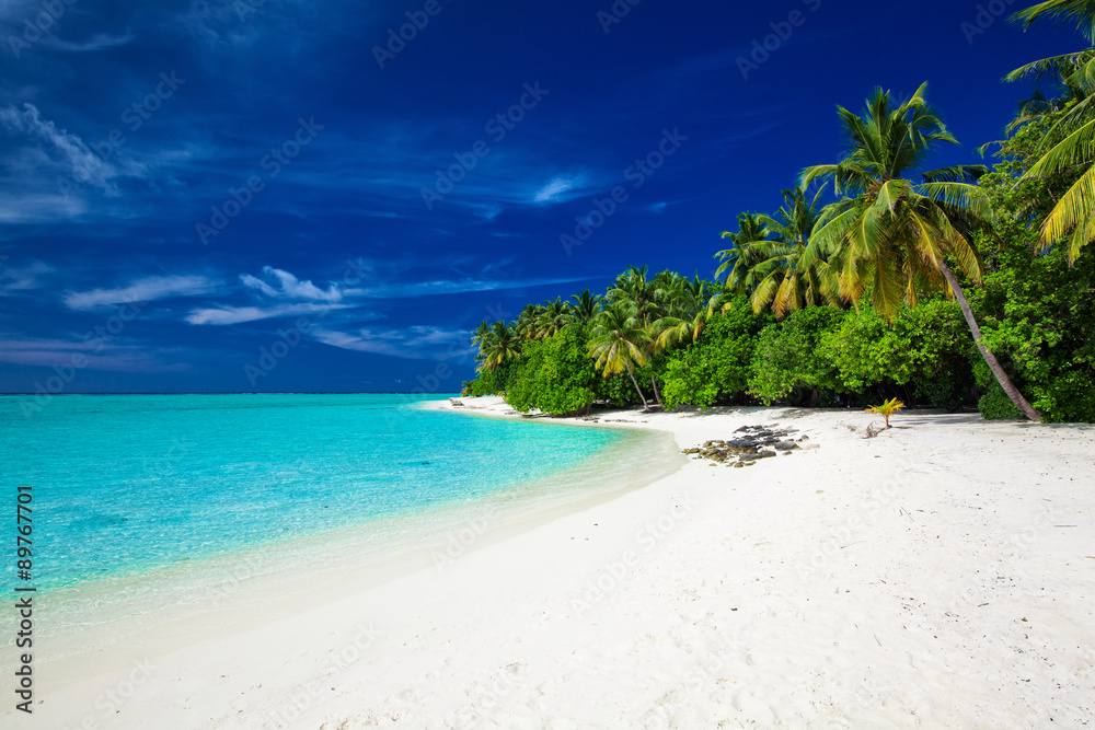 Amazing beach on a tropical island with palm trees over the lago
