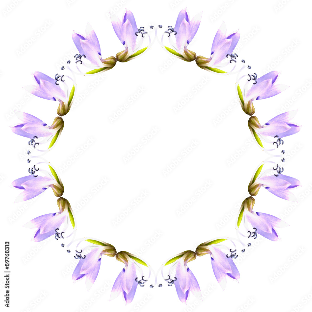 Violet orchid array circle shape isolate on white background