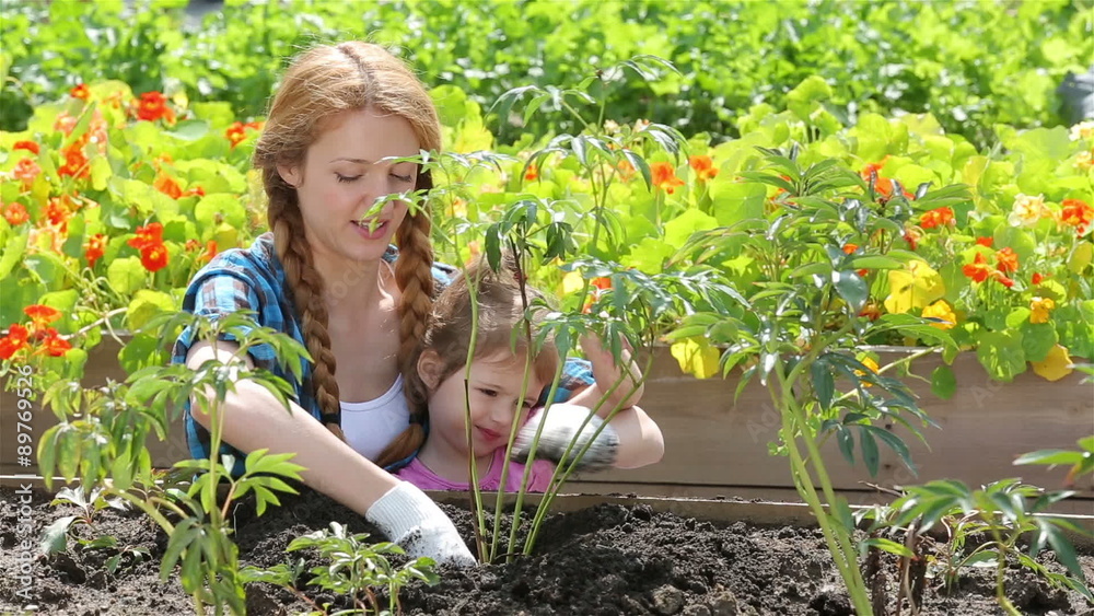 Attractive Young Woman with her cute little daughter working in garden. Dolly Shot. Attractive Young Woman with her cute little daughter working in garden. Dolly Shot.