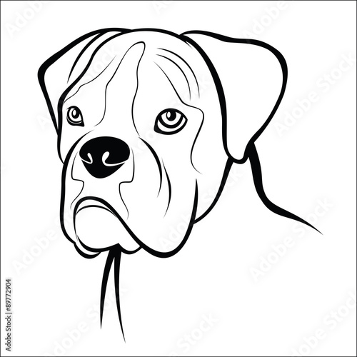 German boxer