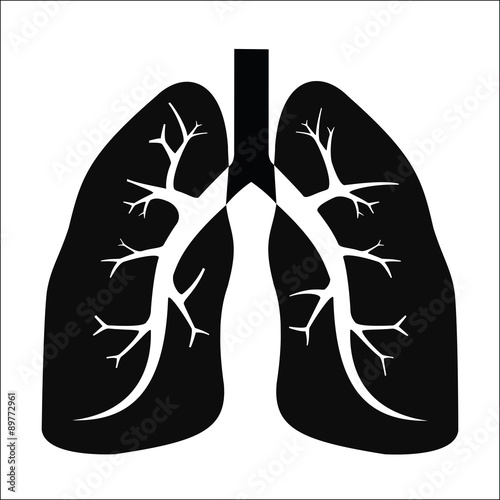 Human lung