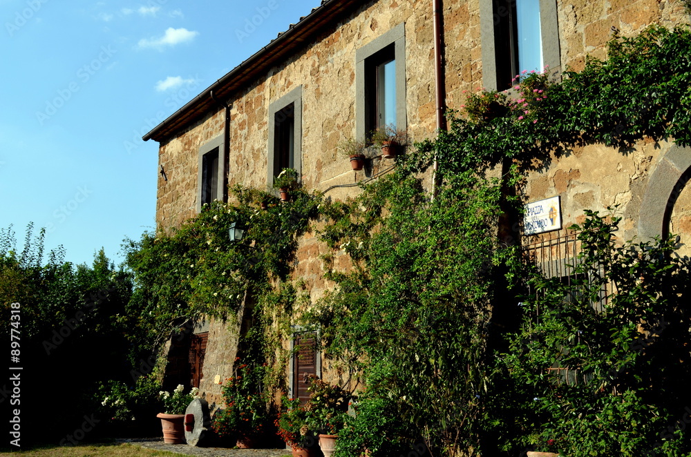Begrünte Hausfassade in Bagnioregio