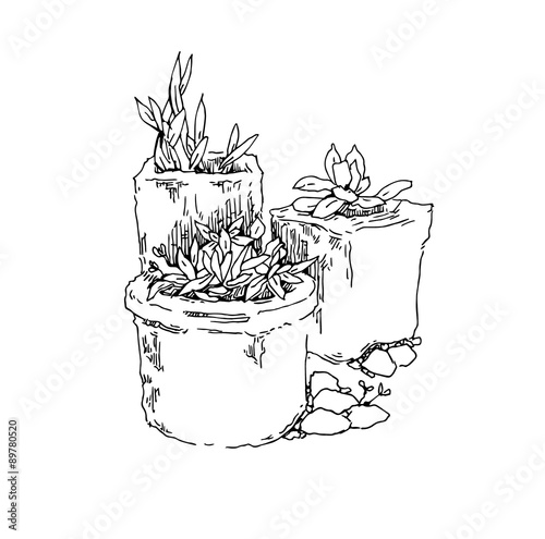 Garden elements sketch