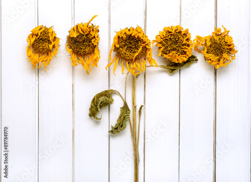 Fototapeta Naklejka Na Ścianę i Meble -  Dried flowers of sunflower on the light wooden background
