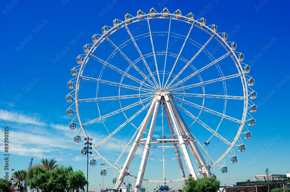 Giant Ferris Wheel in park