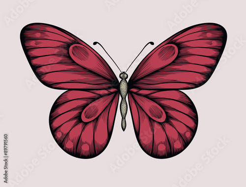 beautiful butterfly in vintage style. Hand-drawn contour lines and strokes.