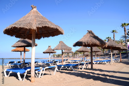 Piękna plaża Playa del Camison w Playa de las Americas na Teneryfie © Darios