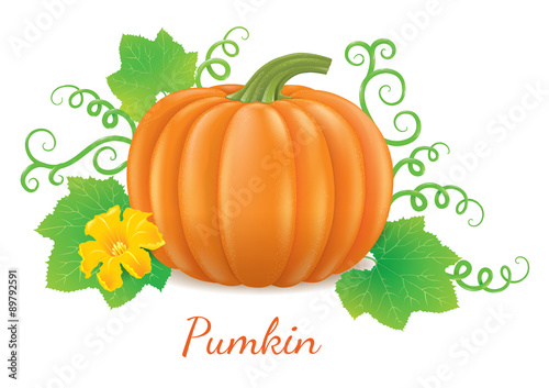Pumpkin